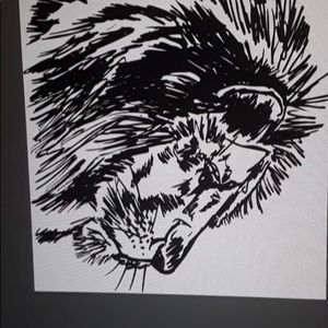 Meet your Posher, Loretta